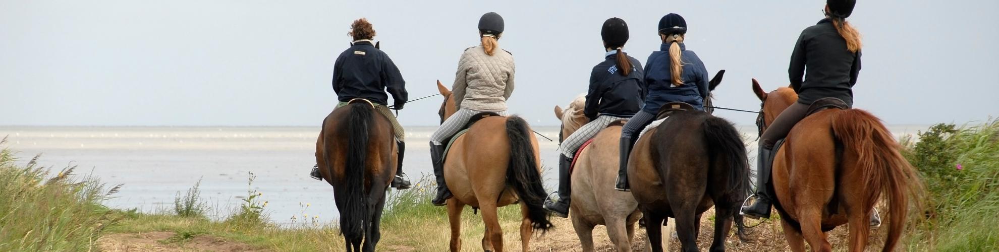 Séjour linguistique équitation